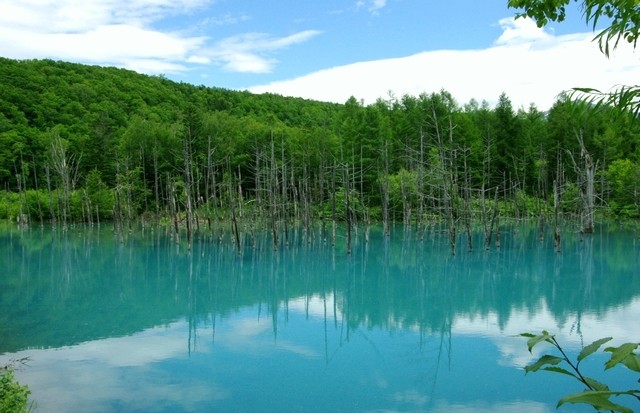 【日本】北海道·道東7日釧路·網走·阿寒湖