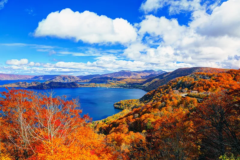 【日本】2026賞楓團體推薦