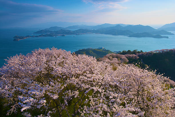 【 四月清明．旅遊推薦】日本天橋立．