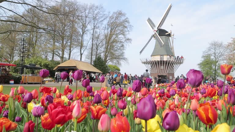 【西歐】荷比盧13日*花季限定