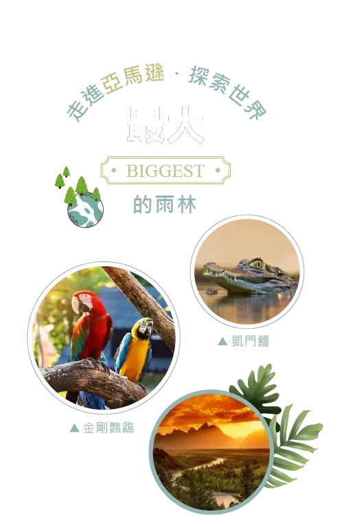 亞馬遜,亞馬遜雨林