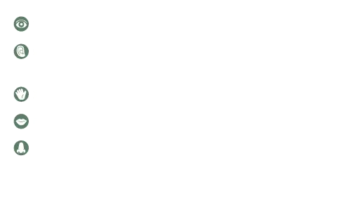 塔斯馬尼亞
