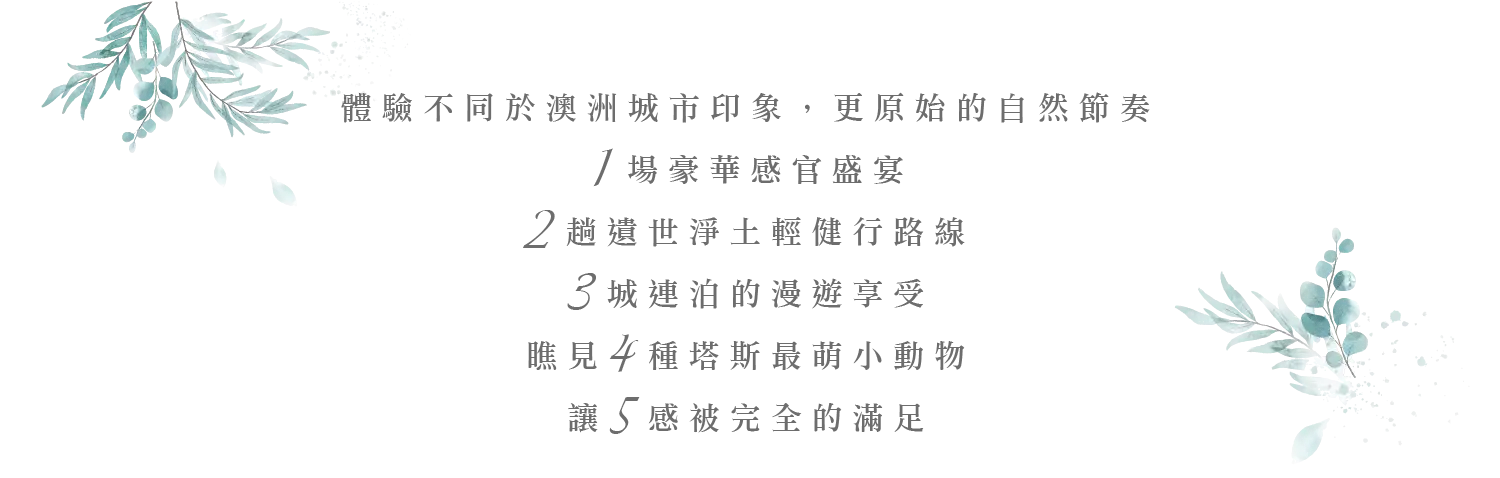 塔斯馬尼亞