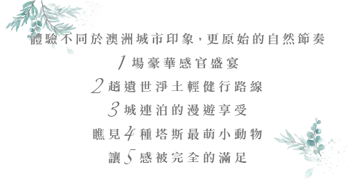 塔斯馬尼亞