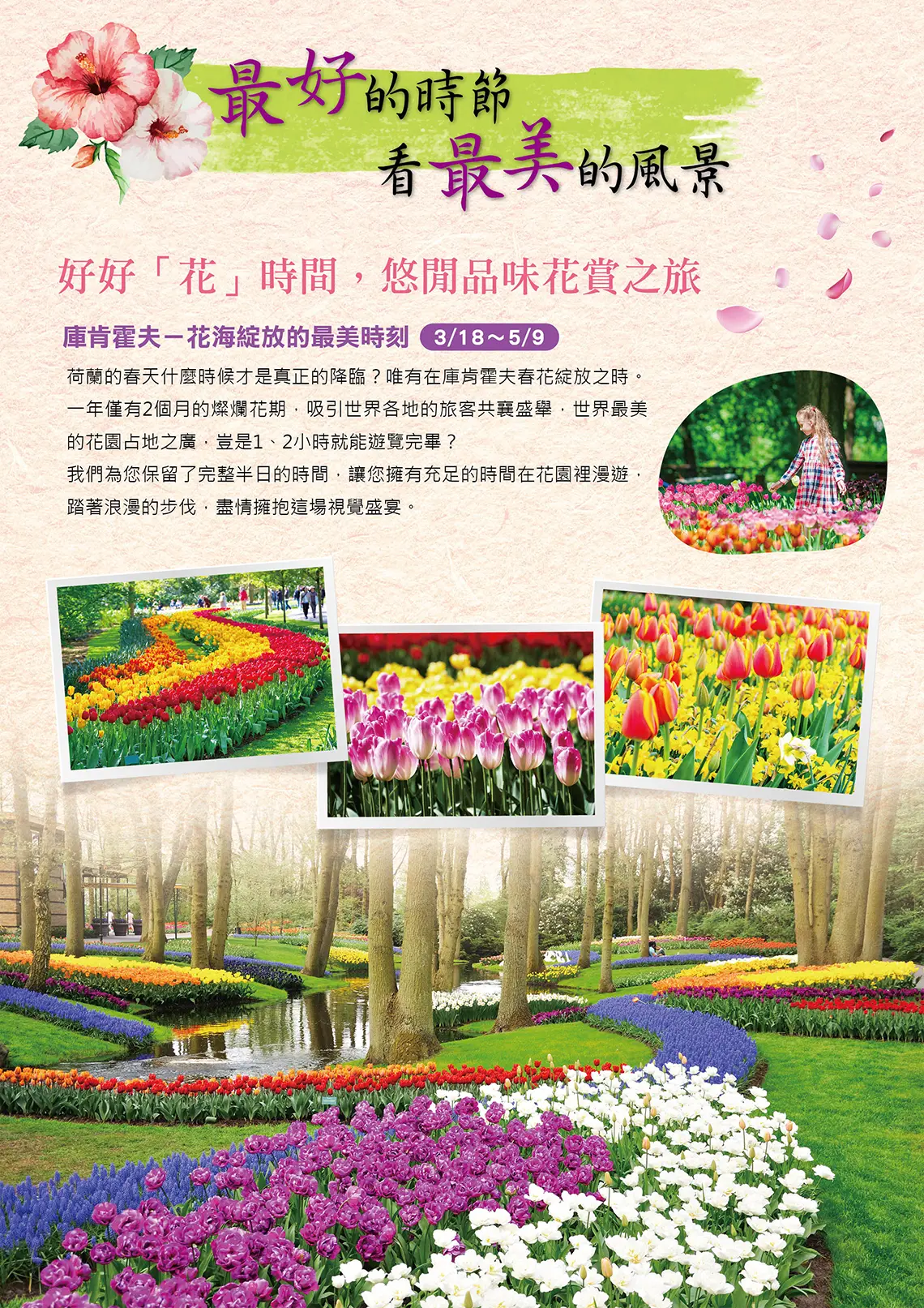 荷比盧
