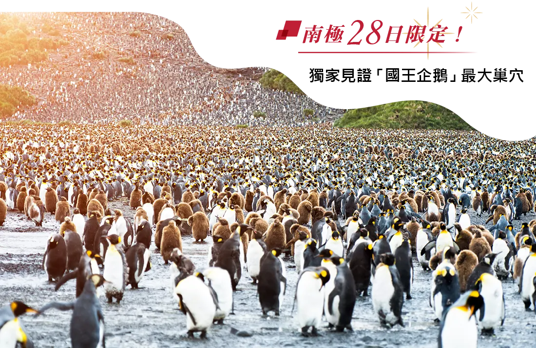 南極,Antarctica,郵輪,Cruise,企鵝,冰山,Seabourn