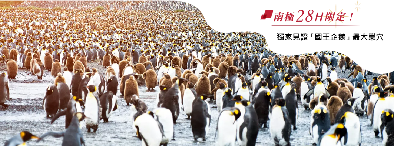Antarctica,郵輪,Cruise,企鵝,國王企鵝,冰山,Seabourn