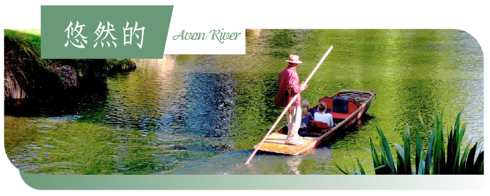 魯冰花季紐西蘭10日
