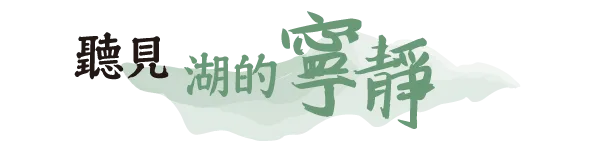 魯冰花季紐西蘭10日
