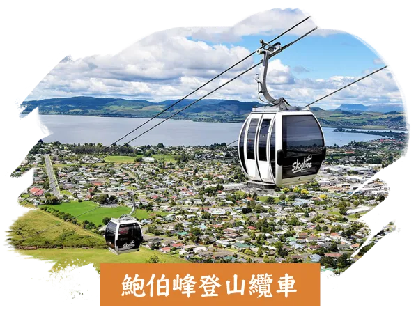 魯冰花季紐西蘭10日,鮑伯峰登山纜車