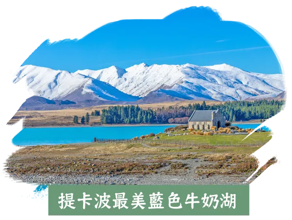 魯冰花季紐西蘭10日,提卡波