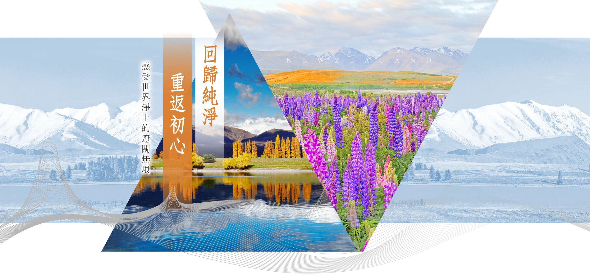 魯冰花季紐西蘭10日