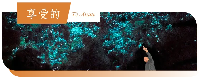 魯冰花季紐西蘭10日