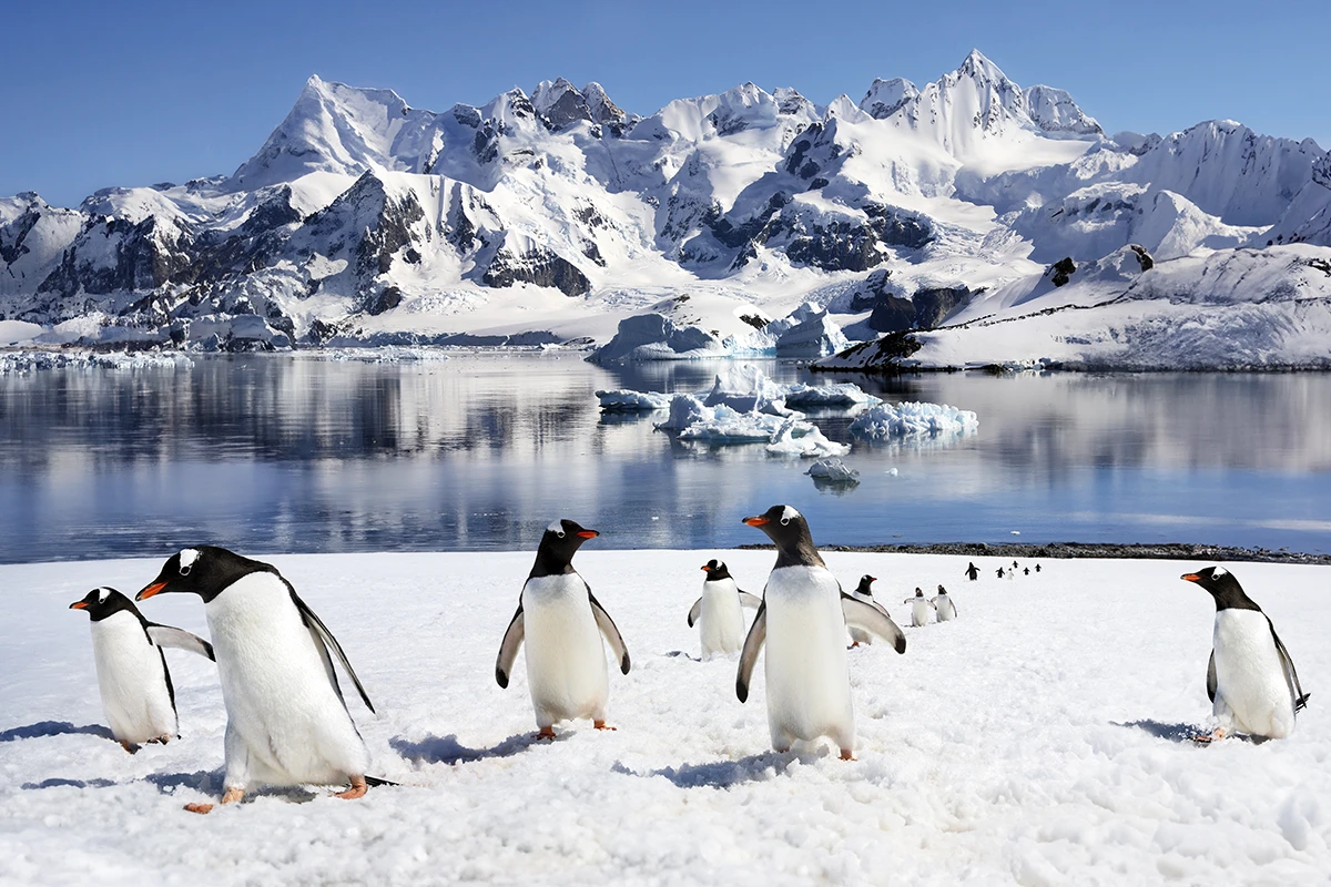 【極地】南極半島