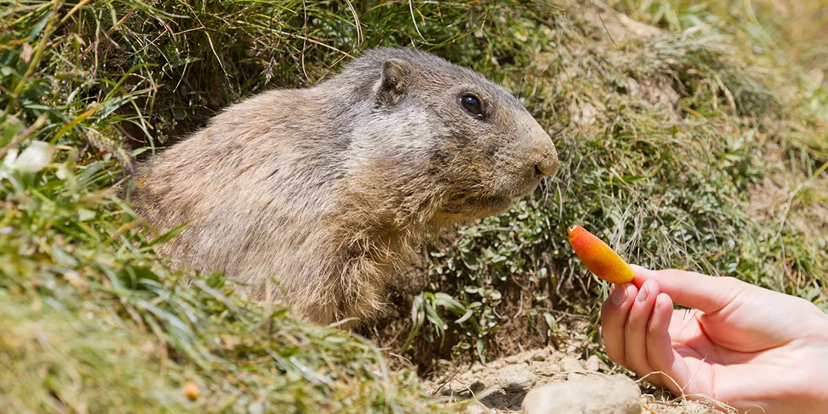 台中｜德國.瑞士.奧匈捷 (四人以上 小型講座) 