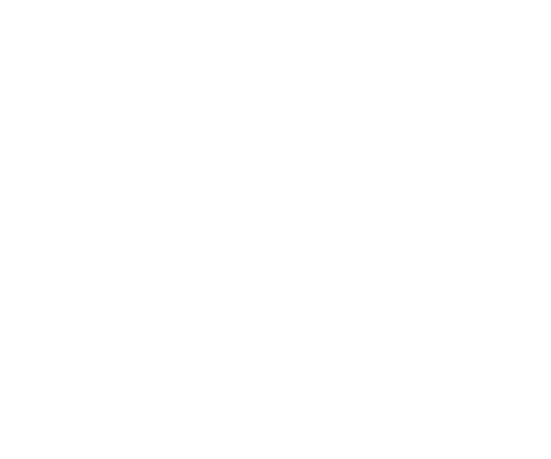 海之京都天橋立,新進特別準備